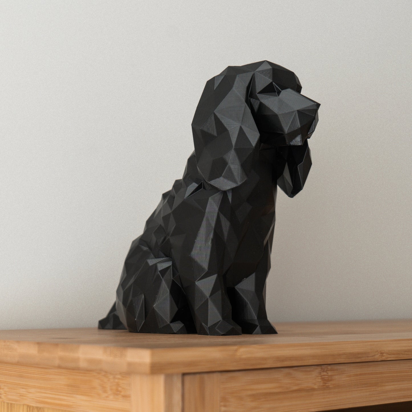 English Cocker Spaniel