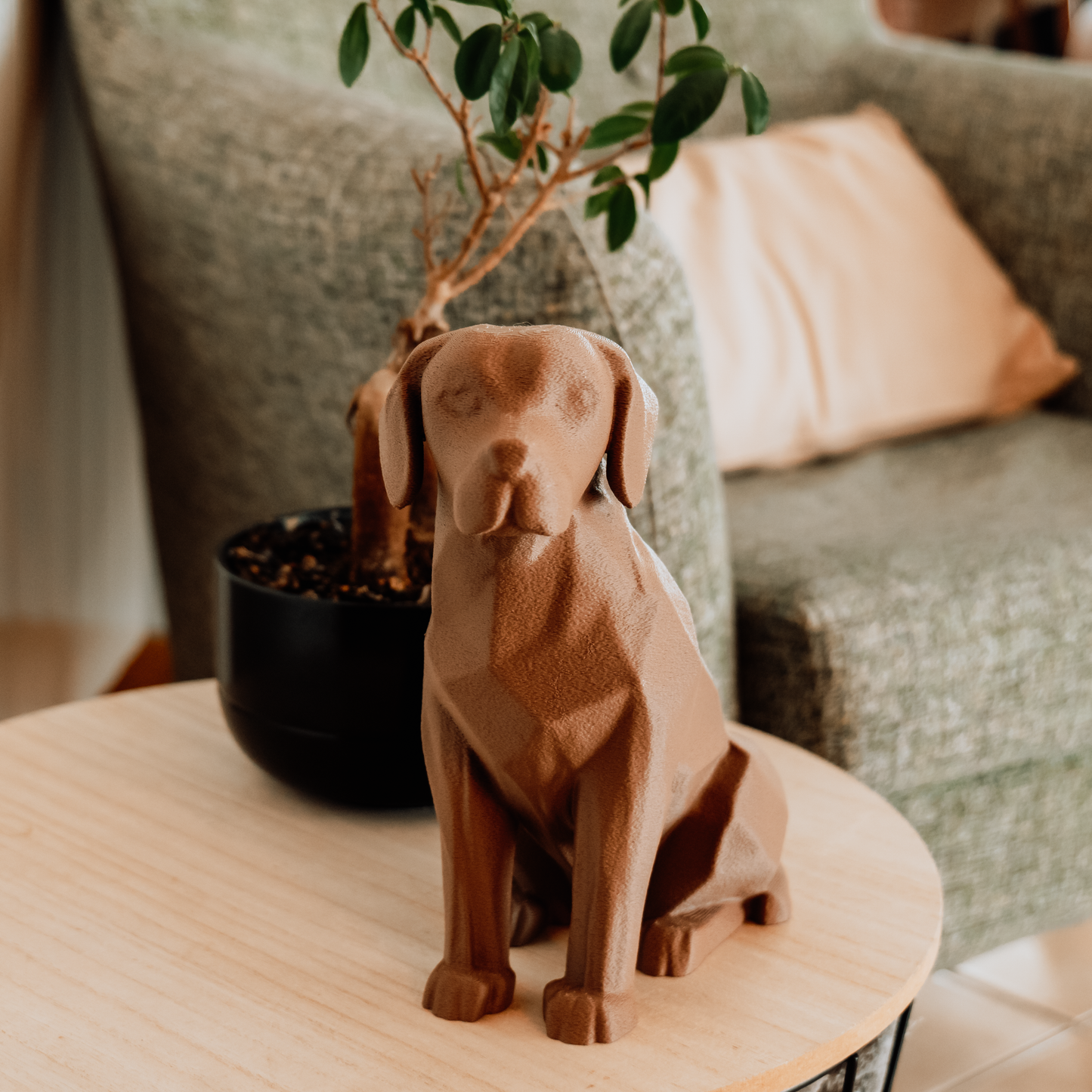 Labrador