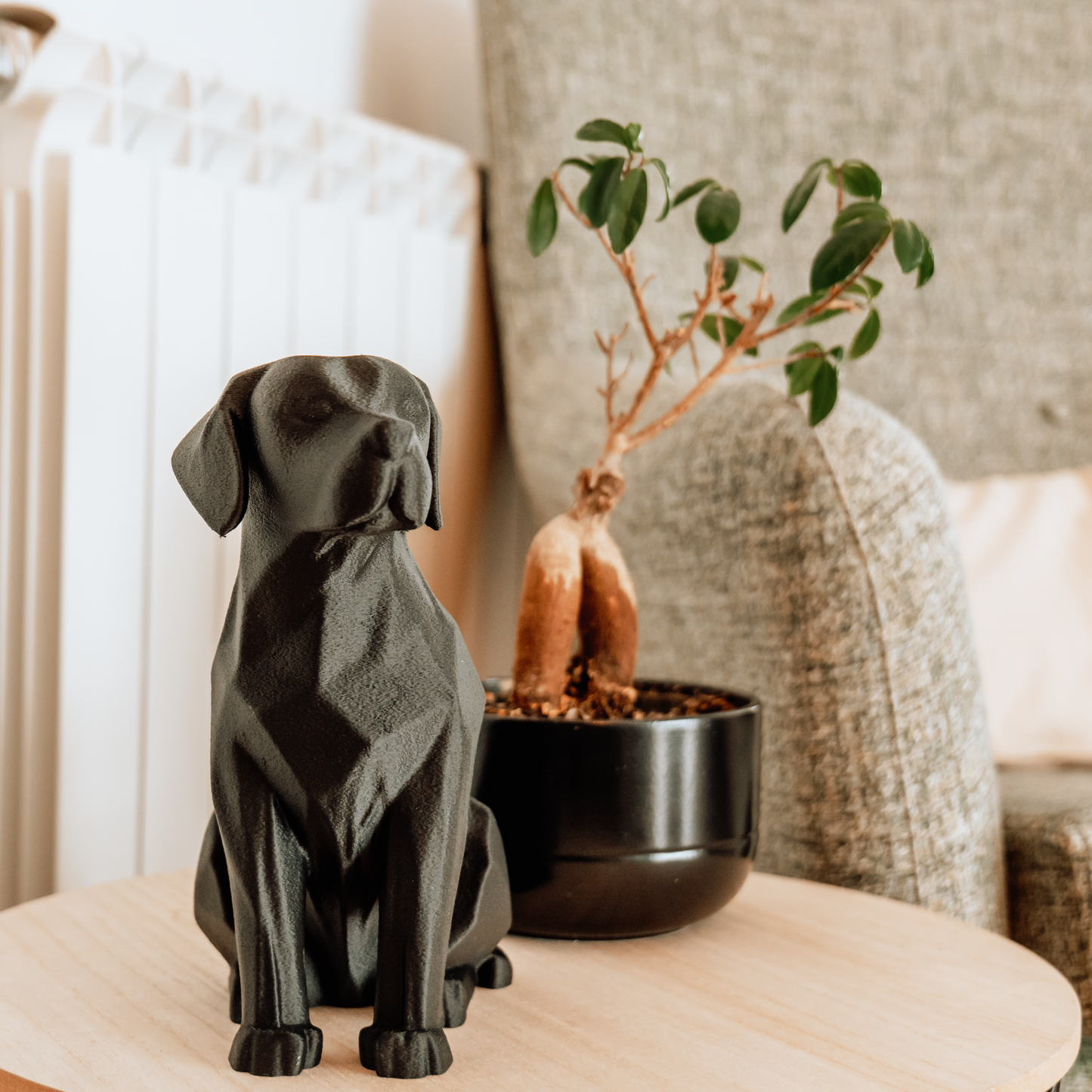 Labrador
