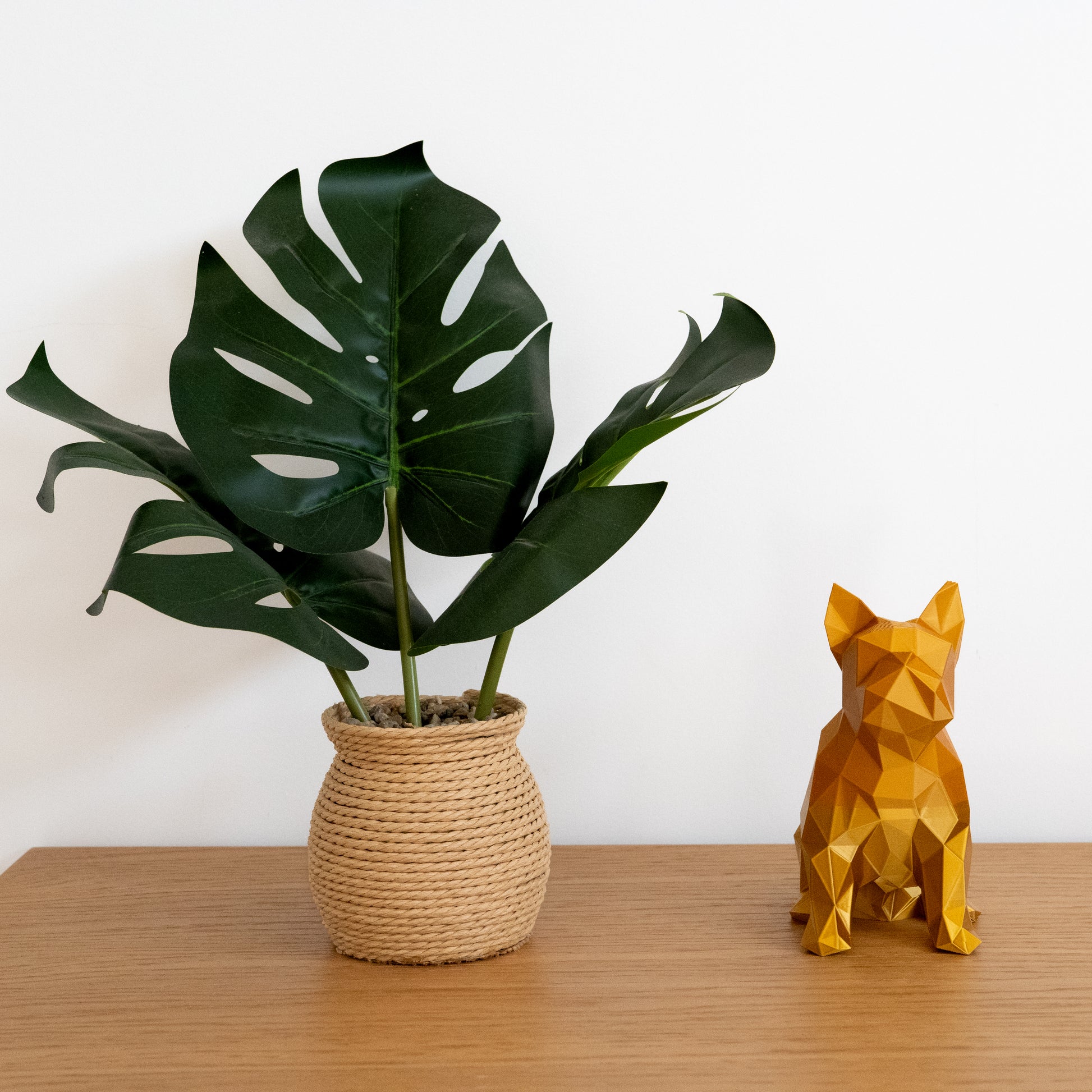 French Bulldog - Craft Art Lab