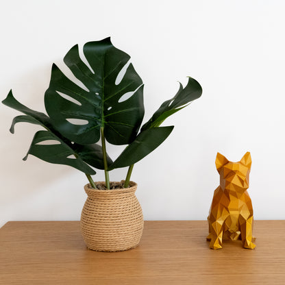 French Bulldog - Craft Art Lab