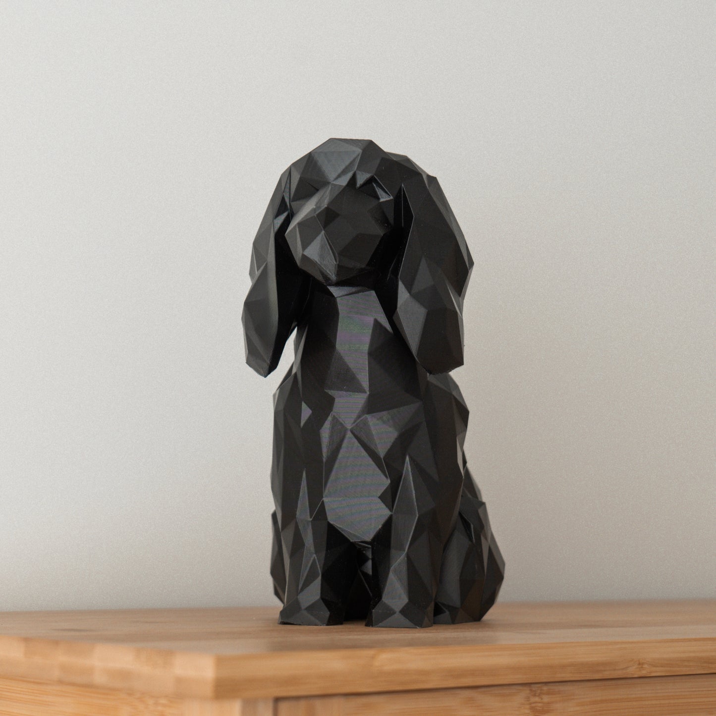 English Cocker Spaniel