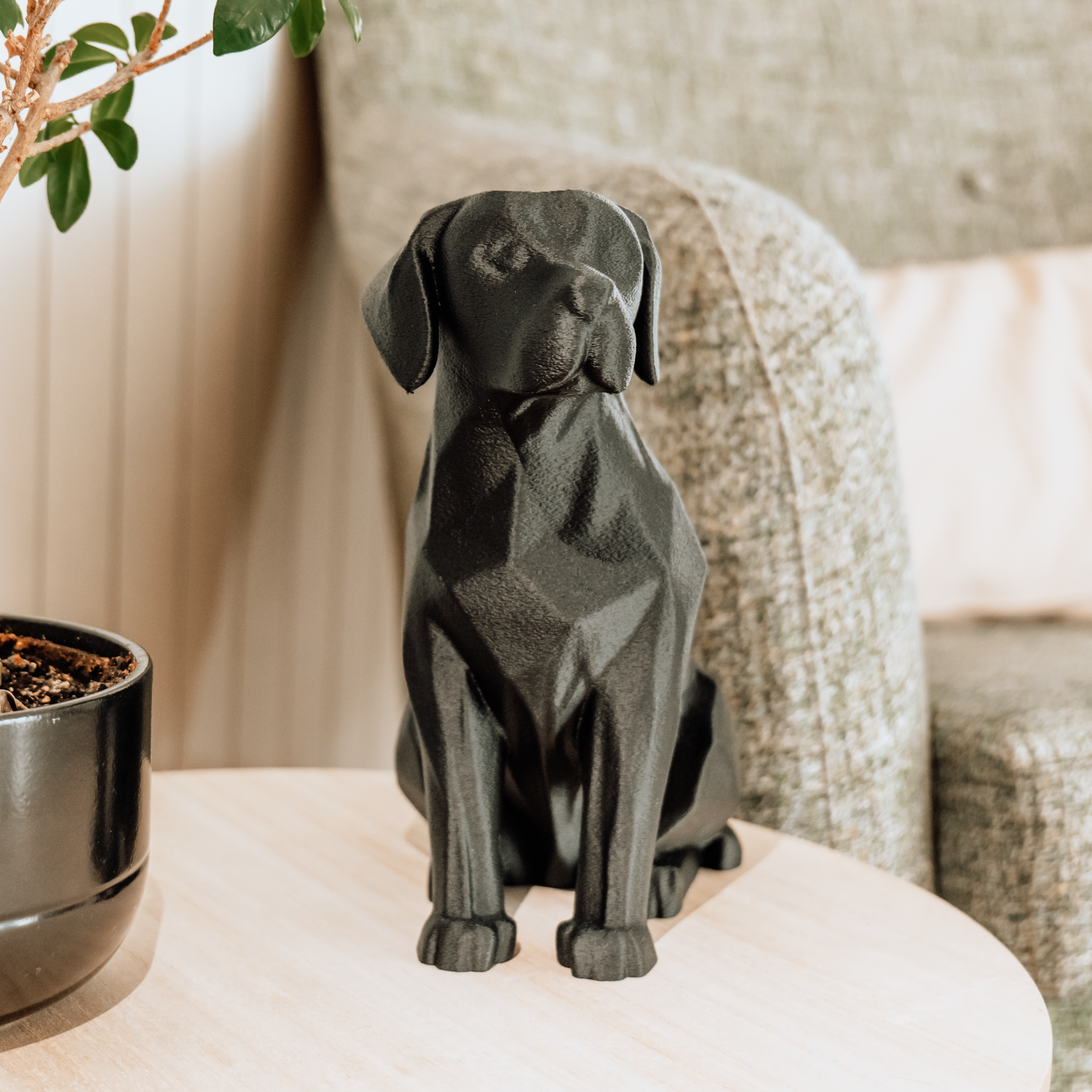 Labrador