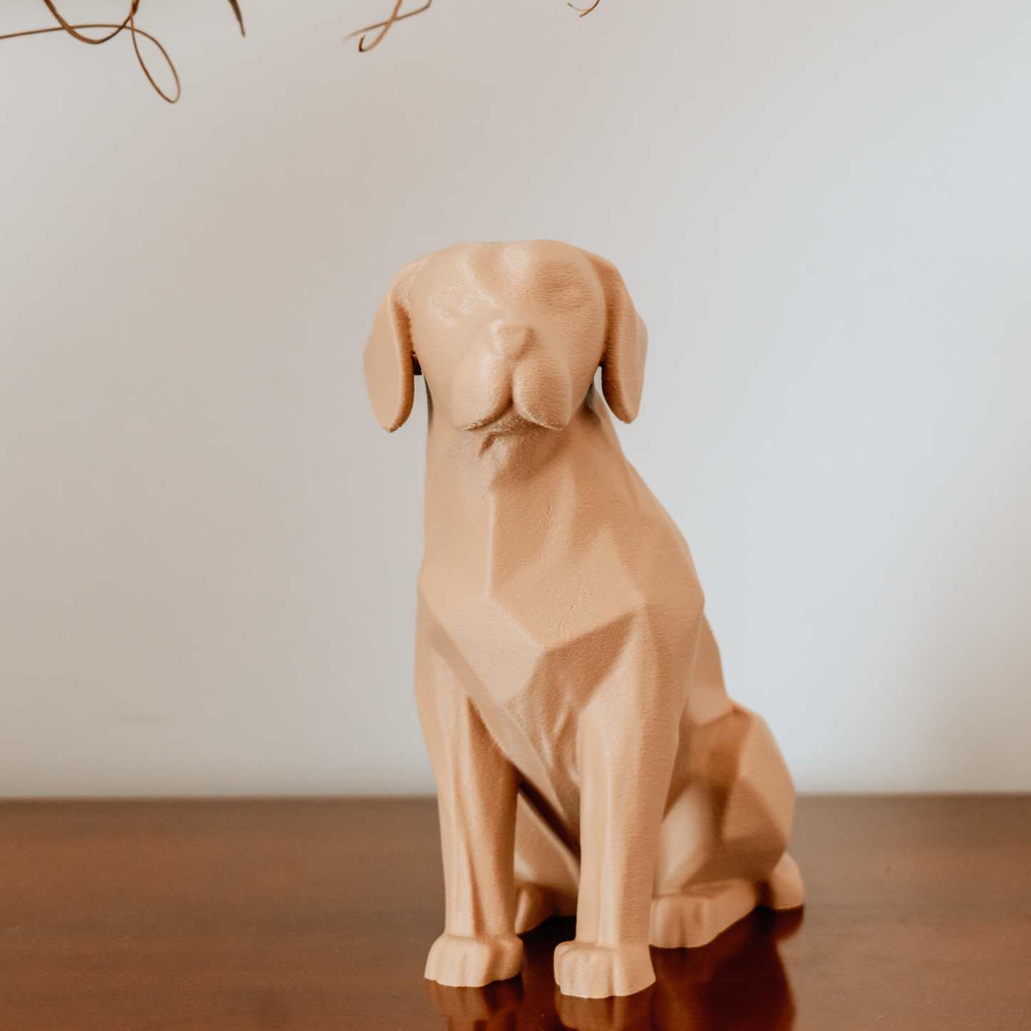 Labrador